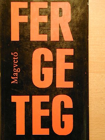 Birkás Endre - Fergeteg [antikvár]