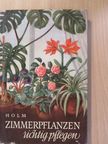 Hermann Holm - Zimmerpflanzen richtig pflegen [antikvár]