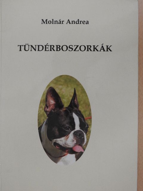 Molnár Andrea - Tündérboszorkák [antikvár]