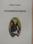 Molnár Andrea - Tündérboszorkák [antikvár]