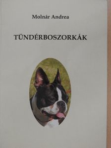 Molnár Andrea - Tündérboszorkák [antikvár]