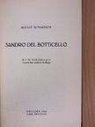 August Schmarsow - Sandro del Botticello [antikvár]