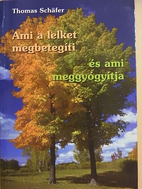Thomas Schäfer - Ami a lelket megbetegíti, és ami meggyógyítja [antikvár]