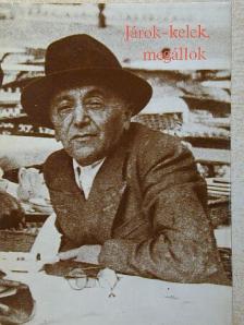 Szép Ernő - Járok-kelek, megállok [antikvár]