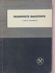Dr. Theodor Haase - Feuerfeste Baustoffe [antikvár]