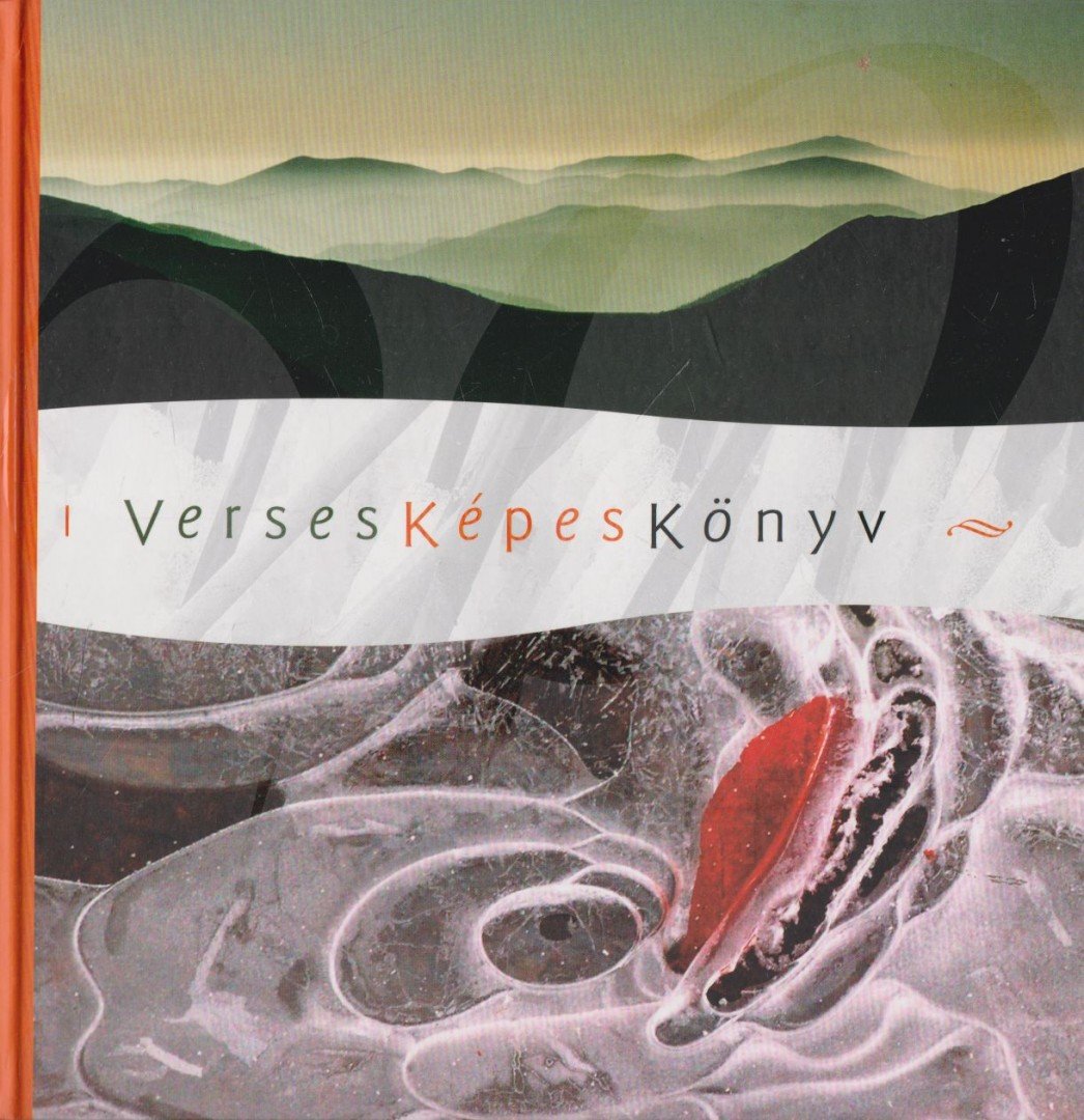 Csányi Tamás - Verses Képes Könyv [antikvár]
