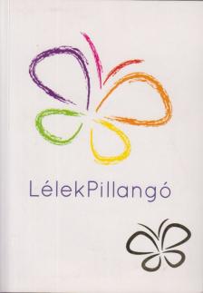 Gáspár Katalin - Lélekpillangó 2013 [antikvár]