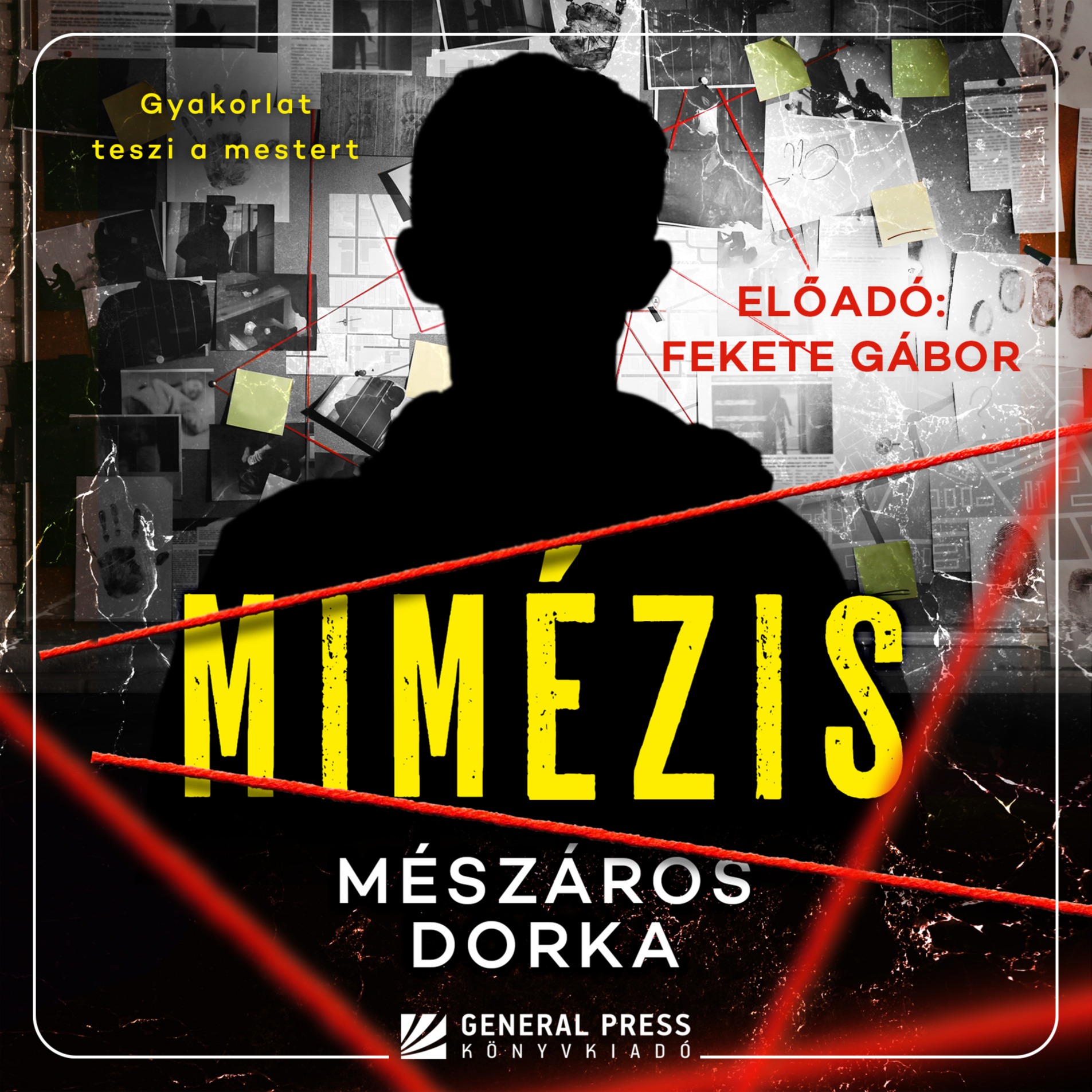Mészáros Dorka - Mimézis [eHangoskönyv]