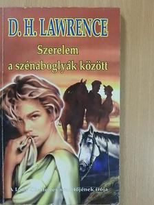 D. H. Lawrence - Szerelem a szénaboglyák között [antikvár]