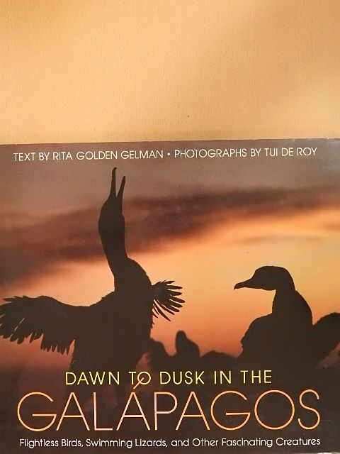 Rita Golden Gelman - Dawn to Dusk in the Galápagos [antikvár]