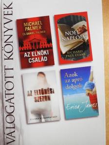 Daniel Palmer - Az elnöki család/Noel naplója/Az eltűnési szezon/Azok az apró dolgok [antikvár]