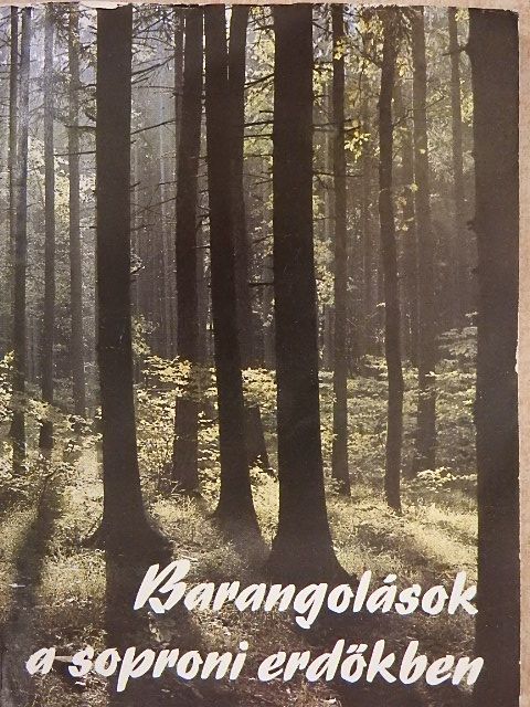 Dr. Csapody István - Barangolások a soproni erdőkben [antikvár]
