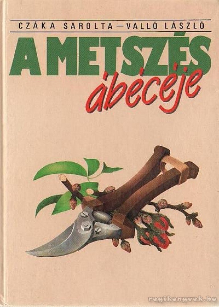 Valló László, Czáka Sarolta - A metszés ábécéje [antikvár]