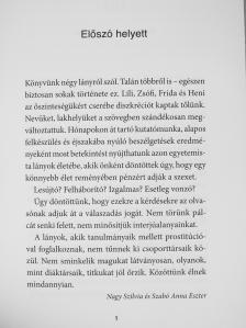 Nagy Szilvia - Egyetemista lány támogatót keres [antikvár]