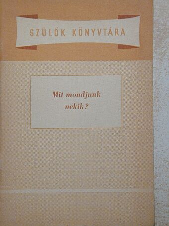 Dobos László - Mit mondjunk nekik? [antikvár]