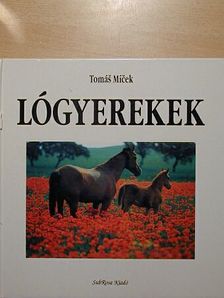 Sigfried Eicher - Lógyerekek [antikvár]