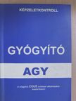 Simonfalvy Tamás - Gyógyító agy [antikvár]