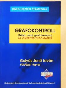 Földényi Ágnes - Grafokontroll [antikvár]
