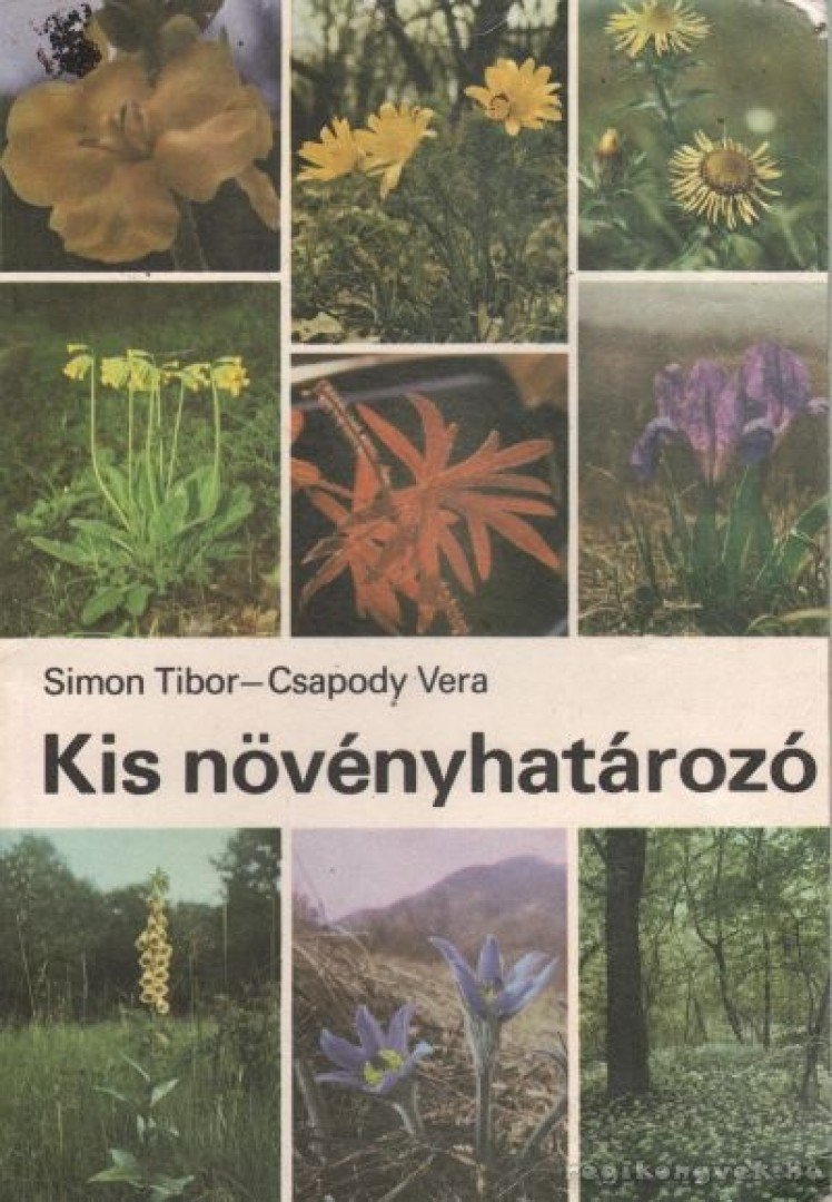 Simon Tibor, Csapody Vera - Kis növényhatározó [antikvár]