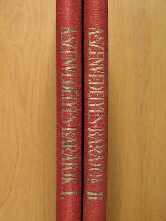 H. G. Wells - Szenvedélyes barátok I-II. [antikvár]