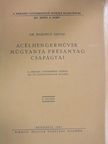 Dr. Bardócz Árpád - Acélhengerművek műgyanta présanyag csapágyai [antikvár]