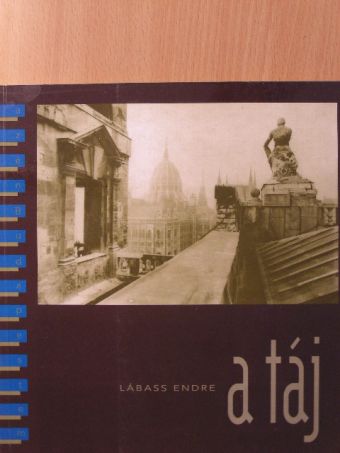 Lábass Endre - A táj [antikvár]