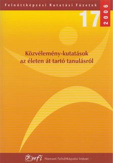 Lada László - Közvélemény-kutatások az életen át tartó tanulásról [antikvár]