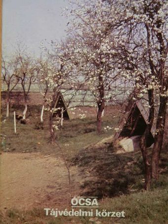 Ócsa - Tájvédelmi körzet [antikvár]