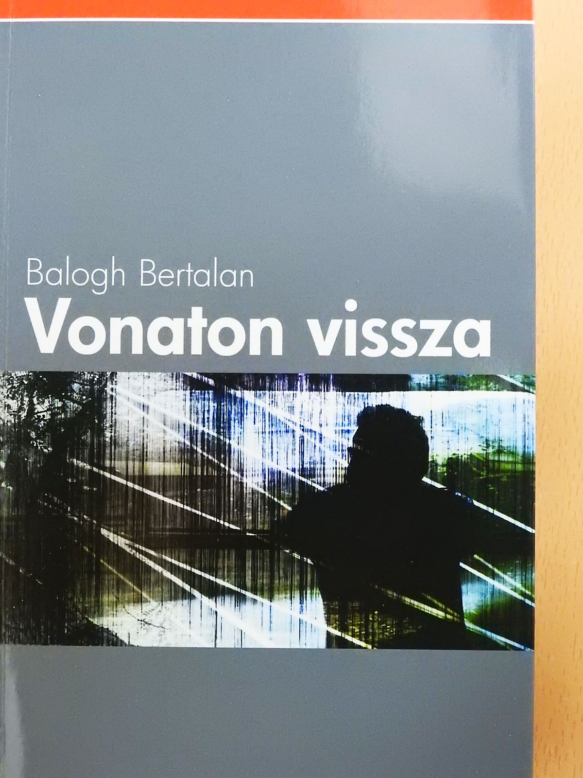 Balogh Bertalan - Vonaton vissza (dedikált példány) [antikvár]