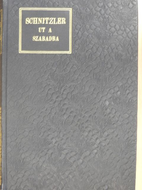 Arthur Schnitzler - Út a szabadba I-II. [antikvár]