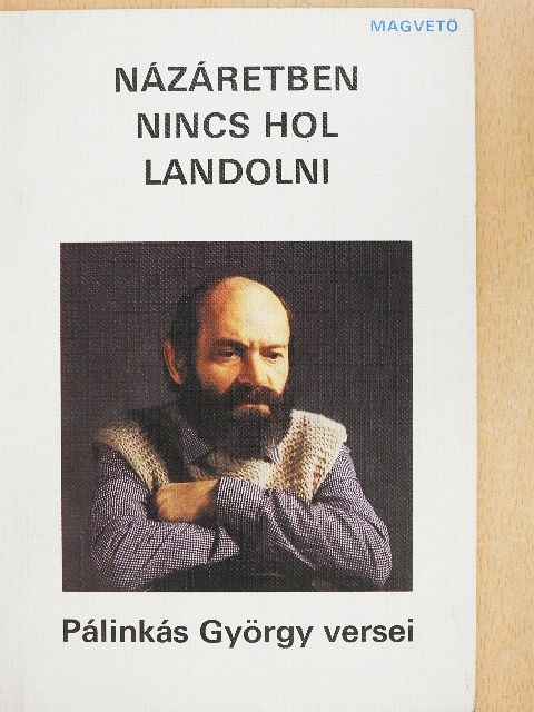 Pálinkás György - Názáretben nincs hol landolni [antikvár]