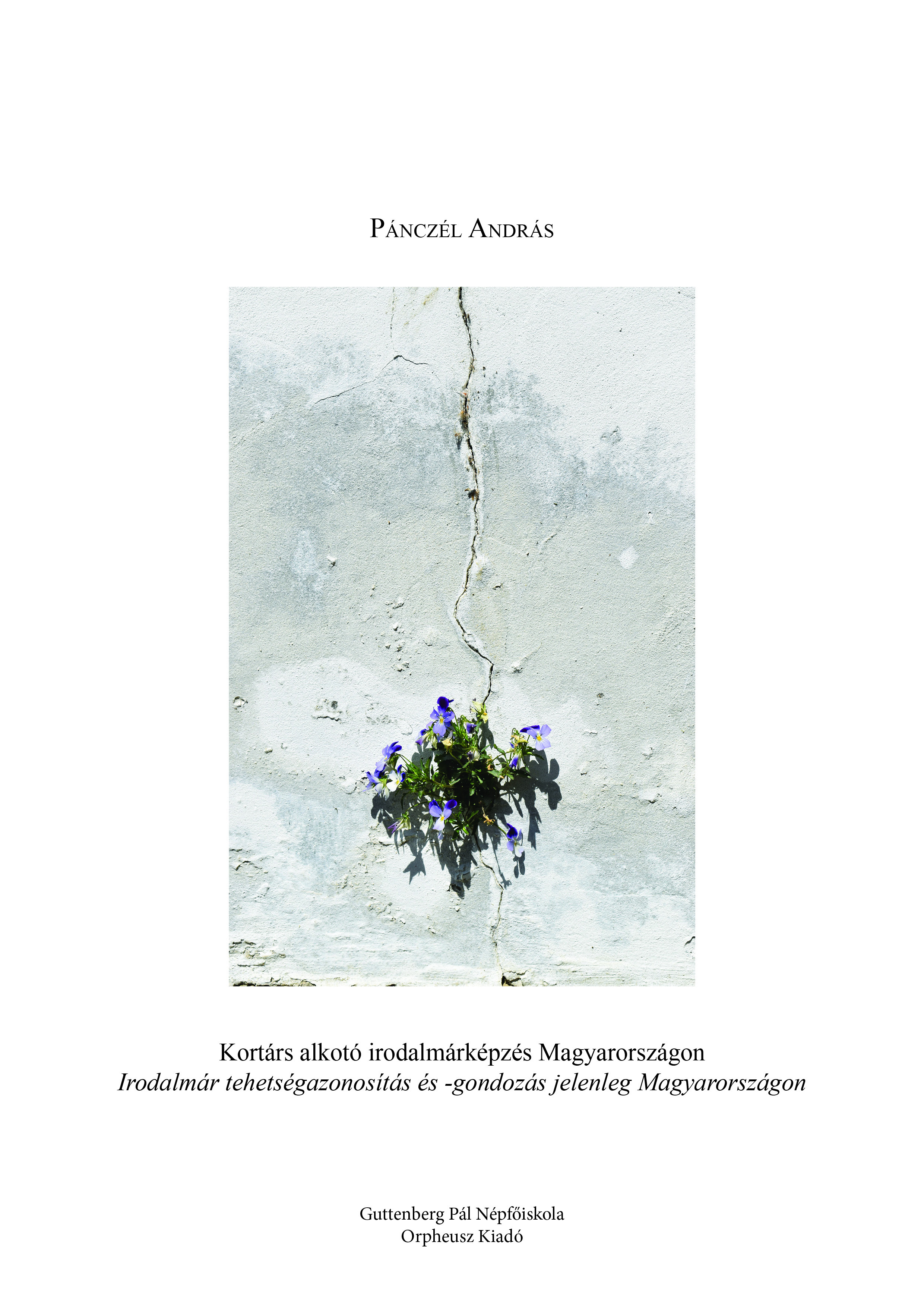 András Pánczél - Kortárs alkotó irodalmárképzés Magyarországon [eKönyv: epub, mobi]