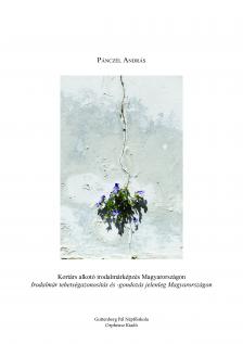András Pánczél - Kortárs alkotó irodalmárképzés Magyarországon [eKönyv: epub, mobi]