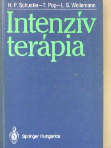 Prof. Dr. Hans-Peter Schuster - Intenzív terápia [antikvár]