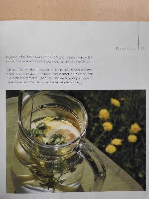 Eszterhai Katalin - Akaratunk gyógyereje [antikvár]
