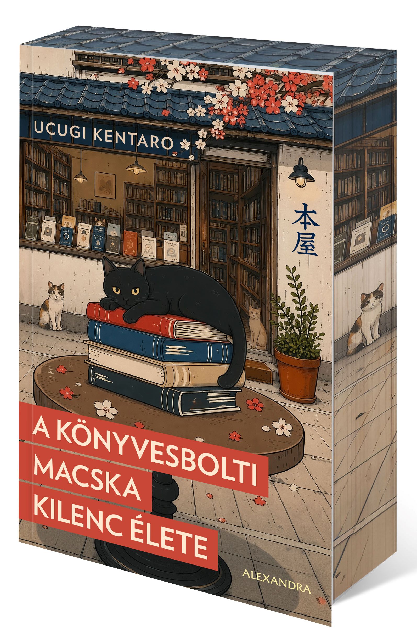Ucugi Kentaro - A könyvesbolti macska kilenc élete