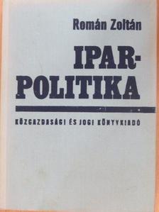 Román Zoltán - Iparpolitika [antikvár]