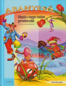Rácz Anikó - Aranyeső [antikvár]