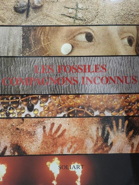 Enrico Annoscia - Les Fossiles Compagnons Inconnus [antikvár]