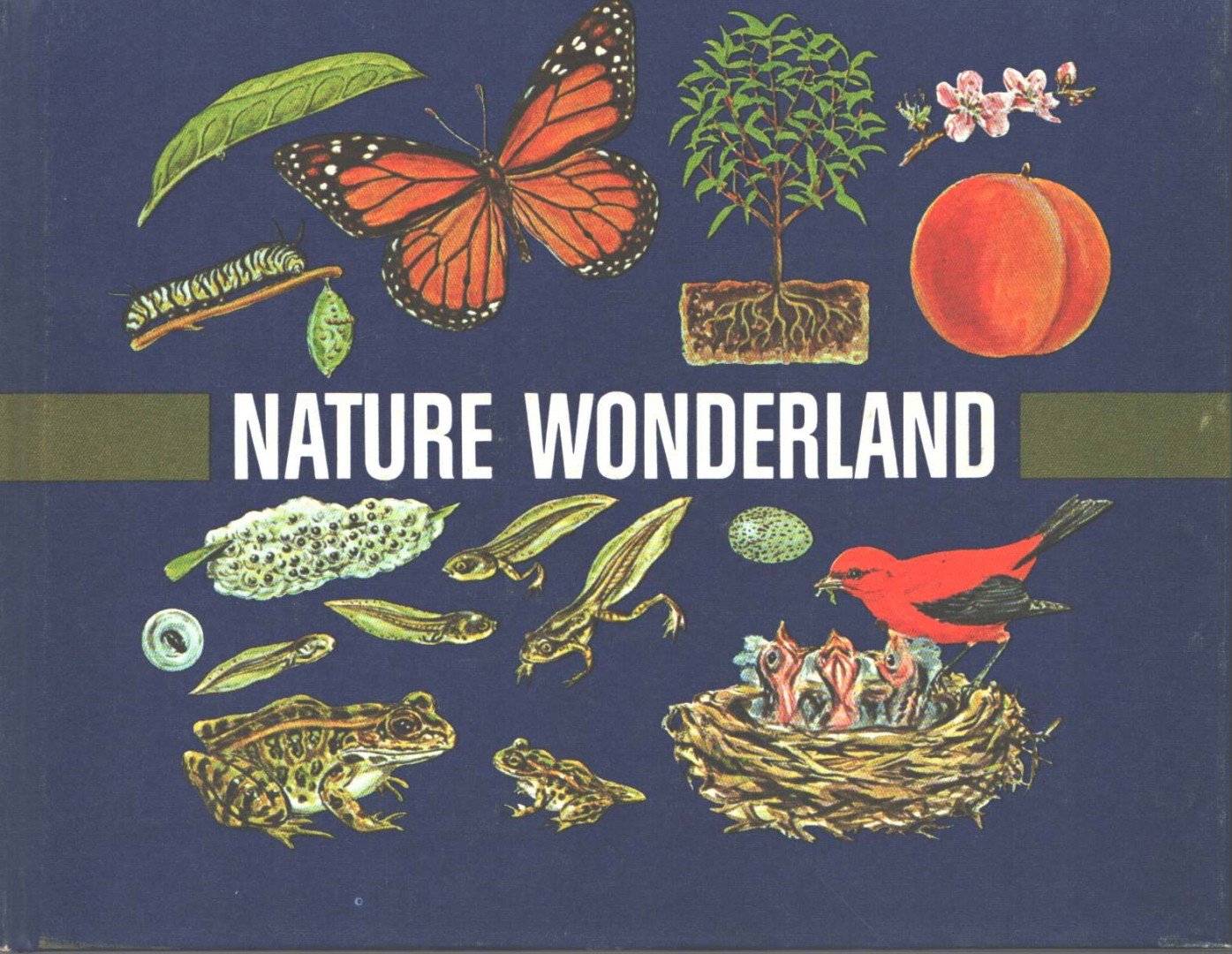 Bertha Morris Parker - Nature Wonderland [antikvár]