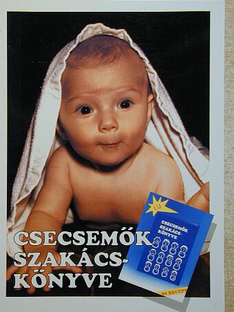 Devics Józsefné - Csecsemők szakácskönyve [antikvár]