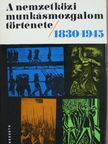 Dr. Babirák Ilona - A nemzetközi munkásmozgalom története 1830-1945 [antikvár]