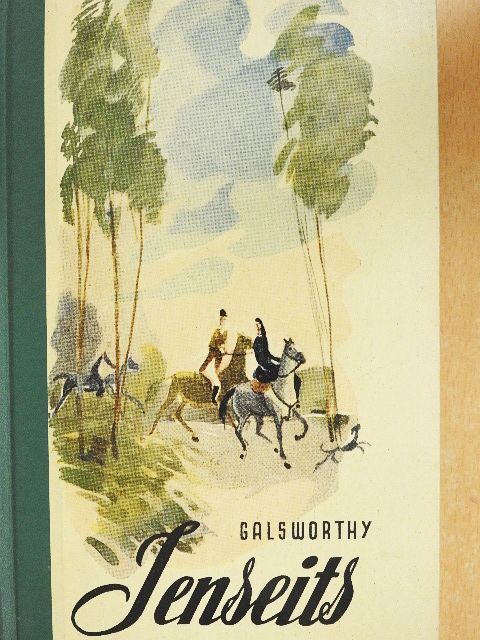 John Galsworthy - Jenseits [antikvár]