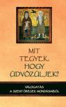 Imrényi Tibor - Mit tegyek, hogy üdvözüljek? [antikvár]
