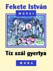 FEKETE ISTVÁN - Tíz szál gyertya [eKönyv: epub, mobi]