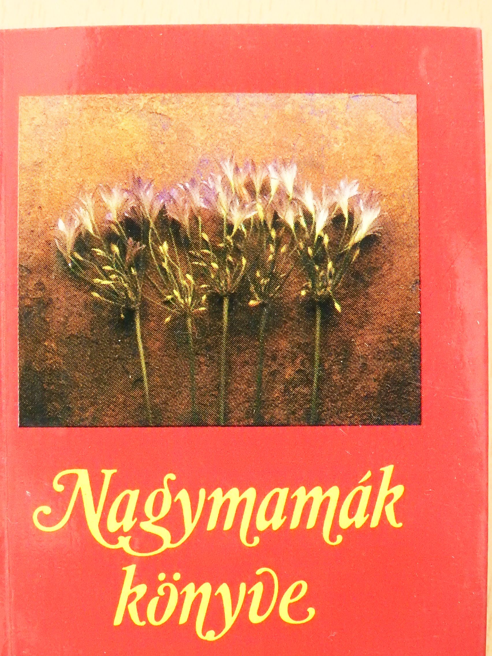 Nagymamák könyve (minikönyv) [antikvár]