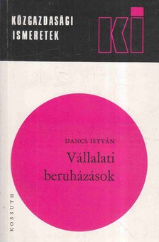 Dancs István - Vállalati beruházások [antikvár]