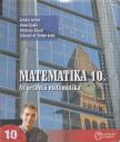 Juhász István, Orosz Gyula, Paróczay József, Szászné Dr. Simon Judit - Matematika 10. [antikvár]