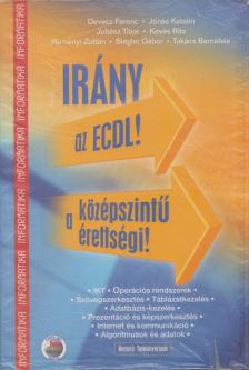 Koreczné Kazinczi Ilona - Irány az ECDL! A középszintű érettségi! [antikvár]