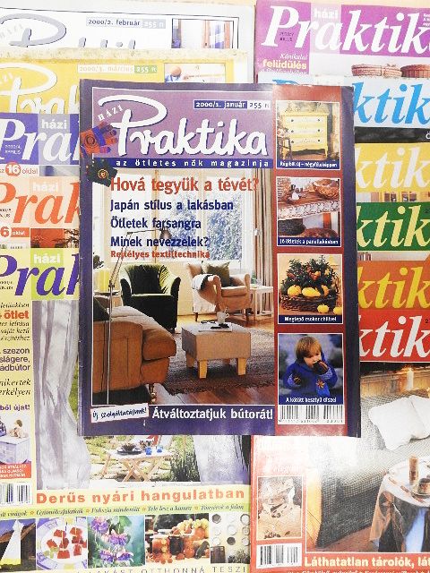 Albert Zsuzsa - Házi Praktika 2000. január-december [antikvár]